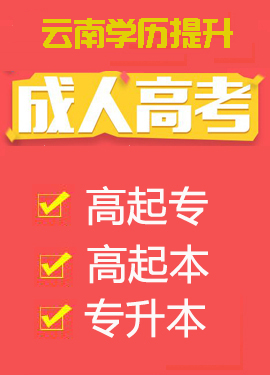 成人高考